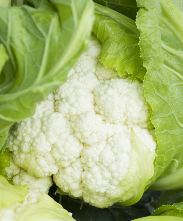 Coliflor Huelva F1 - Insusemillas